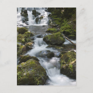 New Brunswick, Canada. Dickson Falls in Fundy Postcard