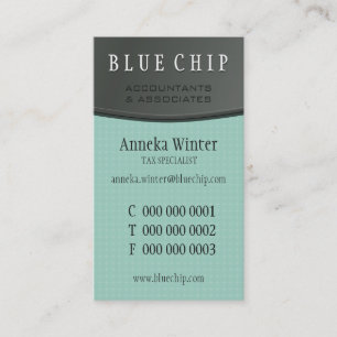 NEW BUSINESS CARD :: silver panel 10P