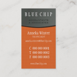 NEW BUSINESS CARD :: silver panel 7P