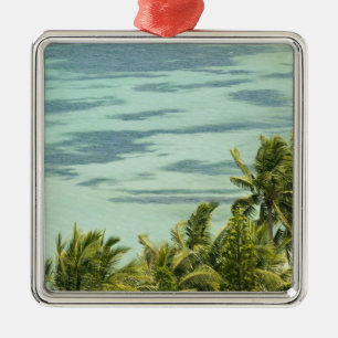 New Caledonia, Grande Terre Island, Noumea. Anse Metal Ornament