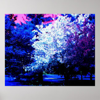 New Colours of Spring Poster