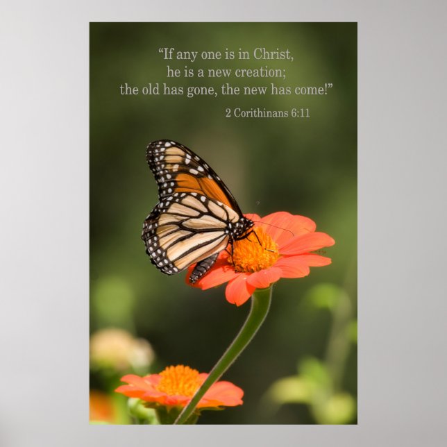 New Creation Poster (Front)