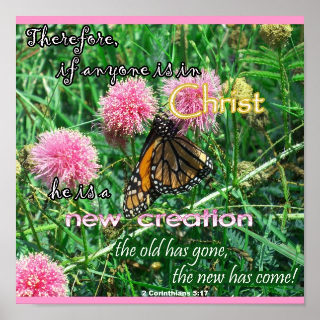 New Creation Poster (Front)