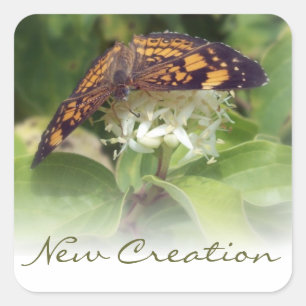 New Creation Square Sticker