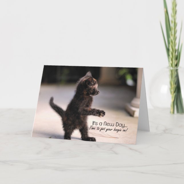 New Day: Funny Kitten Greeting Card (Front)