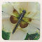 New Day Gardens Daylily & Dragonfly Coaster