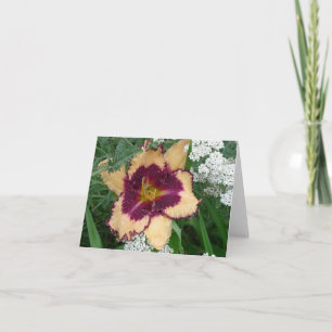New Day Gardens Notecard- Daylily 'Sabine Baur' Card