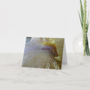 New Day Gardens Notecard- Iris 'Ecru To You' Card