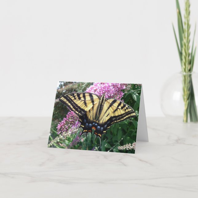 New Day Gardens Notecard-Western Swallowtail Card (Front)