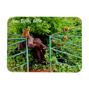 New Delhi, India Magnet