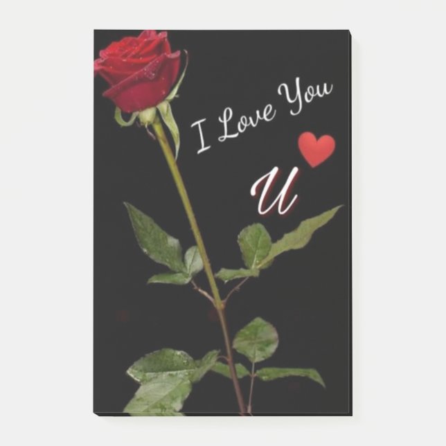 New disine in love  post-it notes (Front)