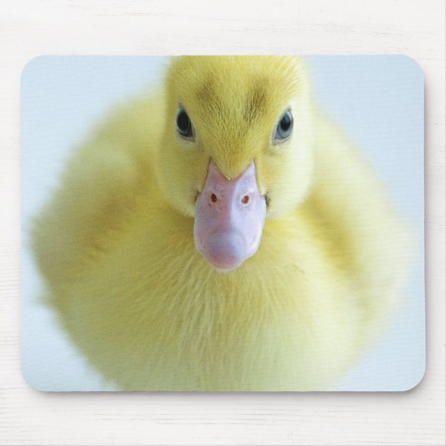 New Duckling Mouse Pad (Front)