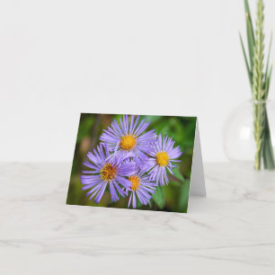 New England Aster Card