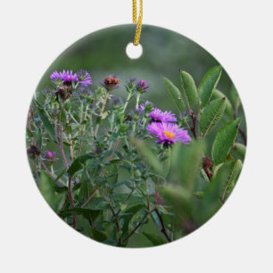 New England Aster Flower Ornament