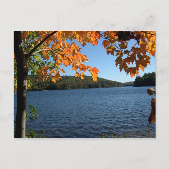 New England Fall Lake Postcards (Front)