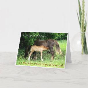 New Foal Congratulations Card
