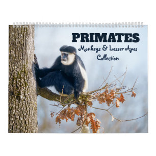 New for 2026 Primates - Monkeys & Lesser Apes Calendar