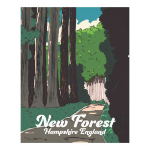 New forest Hampshire England Photo Print