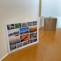 New Forest multi-image 2