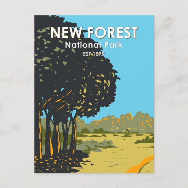 New Forest National Park England Vintage Postcard (Front)