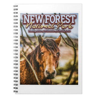 NEW FOREST NATIONAL PARK - NEW FOREST PONY NOTEBOOK
