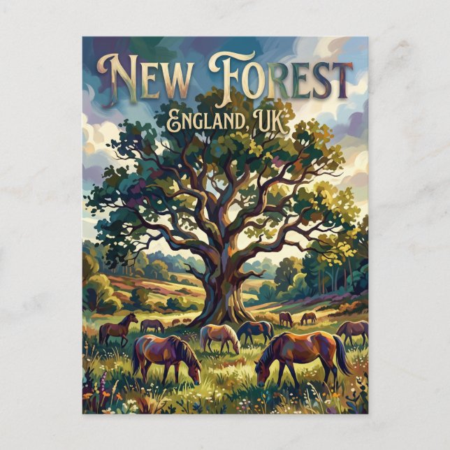 New Forest National Park UK Postcard (Front)