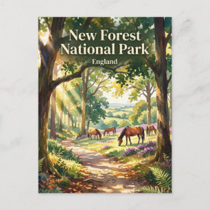 New Forest National Park United Kingdom Postcard