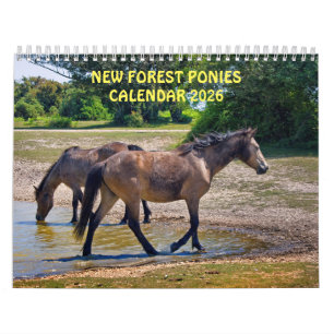 New Forest Ponies Calendar