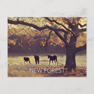 New Forest Ponies Postcard
