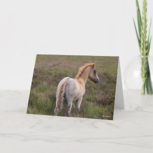 New Forest Pony Foal Standing In Scrub Card