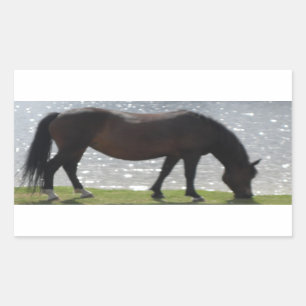 New Forest pony grazing by a sunny lake Sticker