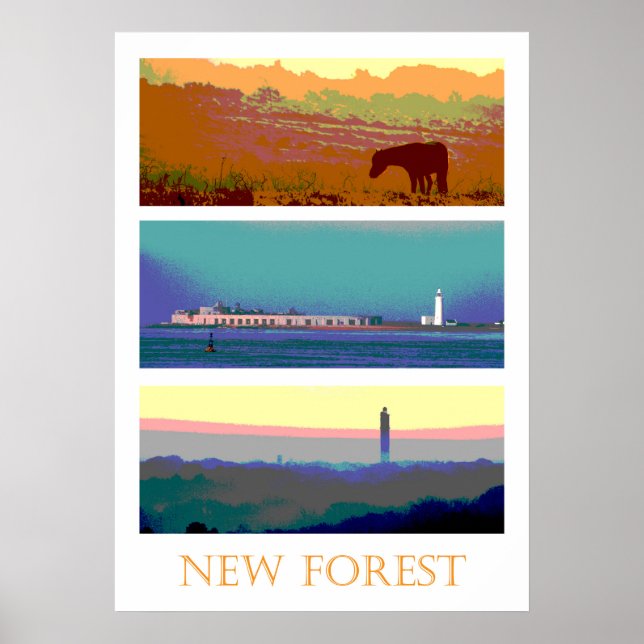 New Forest Poster (Front)