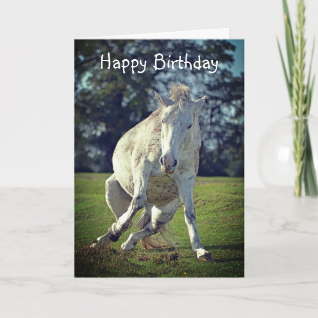New Forest White Pony Funny Pose Birthday Card (Front)