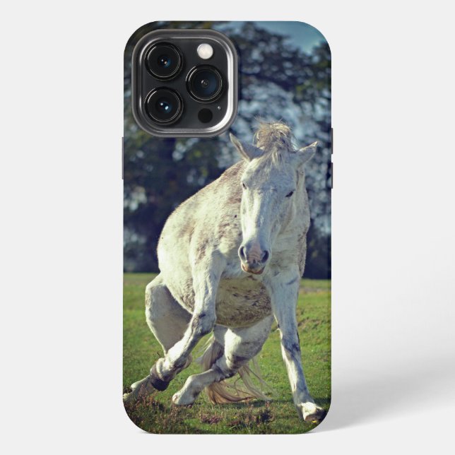 New Forest White Pony Funny Pose iPhone Case (Back)