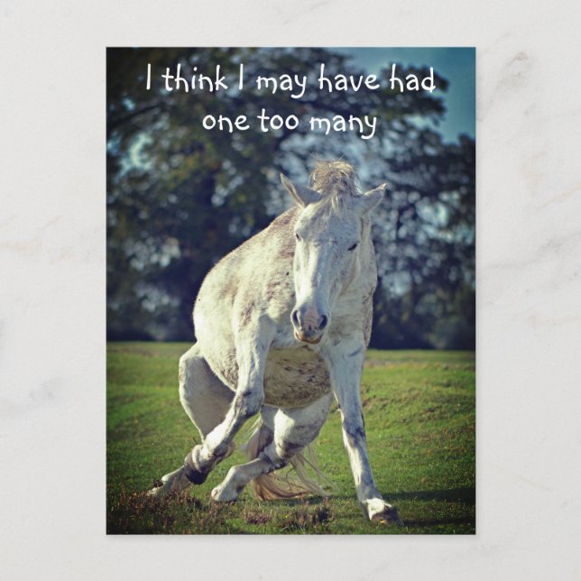 New Forest White Pony Funny Pose Postcard (Front)