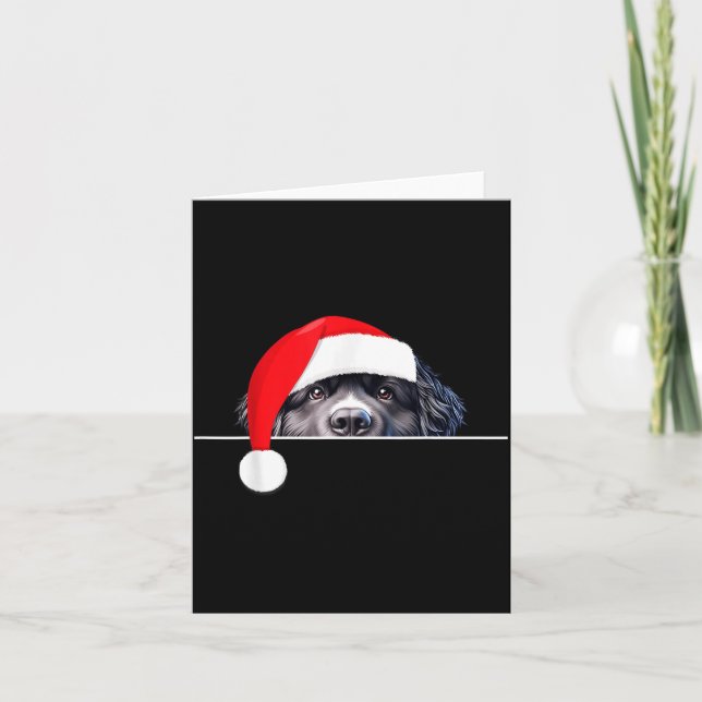 New Foundland Dog Lover Funny Santa Hat Christmas  Card (Front)