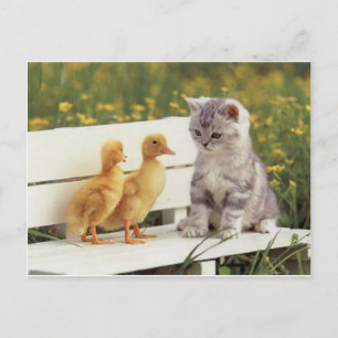 New Friends Postcard