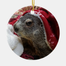 NEW! Groundhog Carrie Christmas Ornamant 2