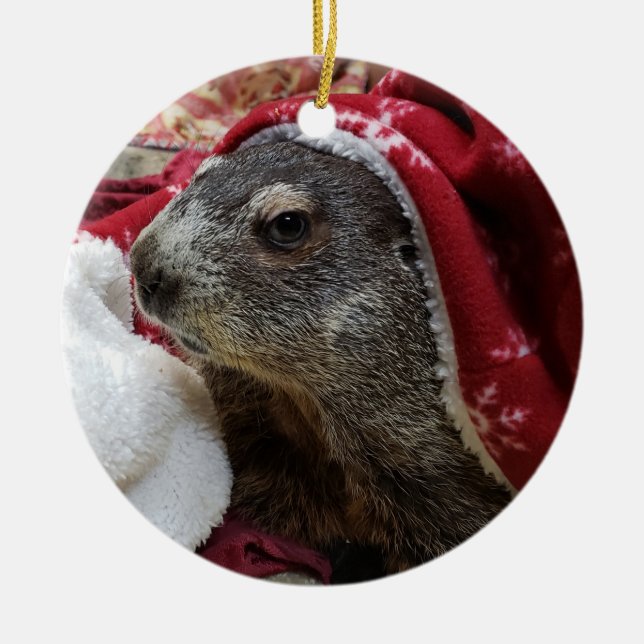 NEW!  Groundhog Carrie Christmas Ornamant 2 Ceramic Ornament (Front)