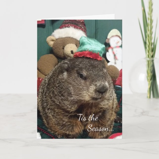 New!!! Groundhog Moses Holiday Greeting Card (Front)
