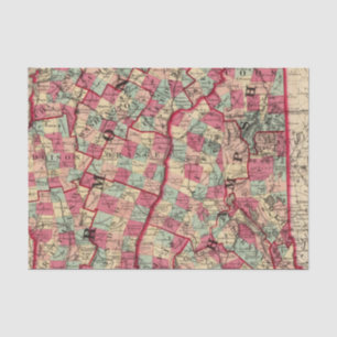 New Hampshire and Vermont 2 Tissue Paper