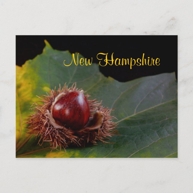 New Hampshire, Autumn Leaf With Nut Postcard (Front)