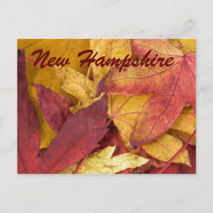 New Hampshire Autumn Leaves Postcard