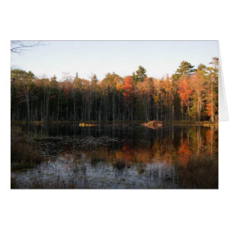 New Hampshire beaver pond in Autumn