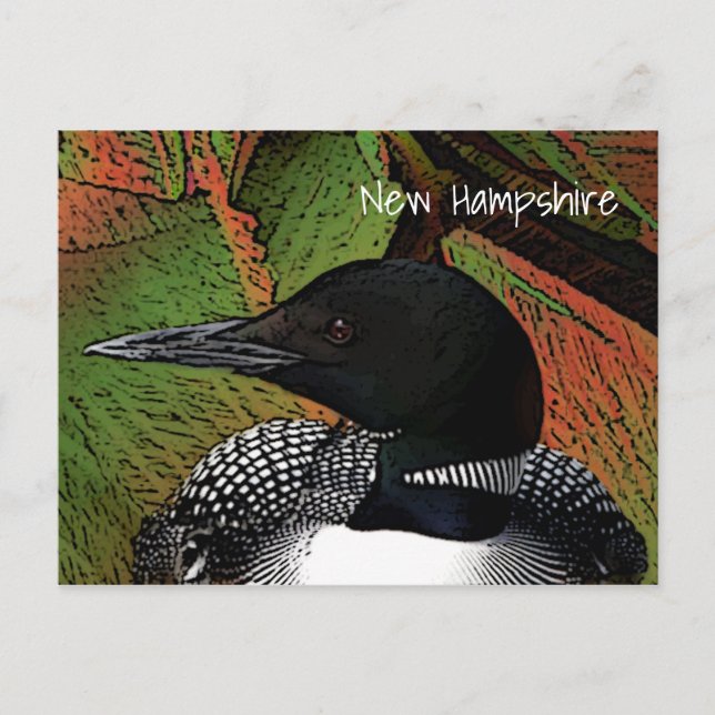 New Hampshire Common Loon Postcard (Front)