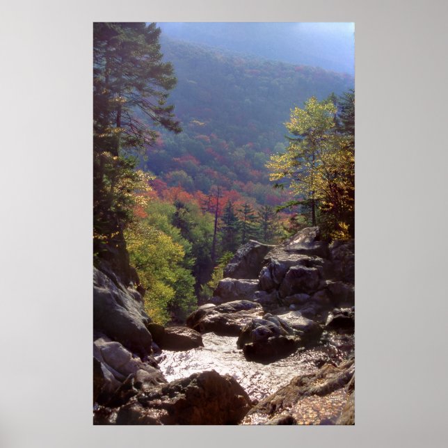 New Hampshire Fall Colors Poster (Front)