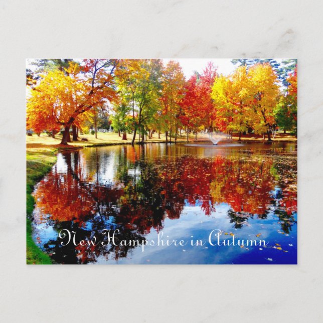 New Hampshire in Autumn-on the pond postcard (Front)