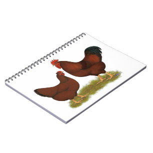 New Hampshire Reds Notebook