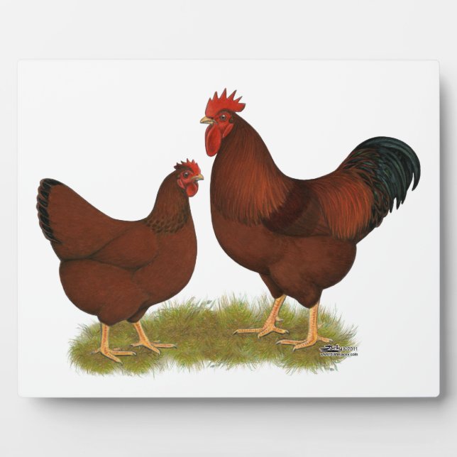 New Hampshire Reds Plaque (Front)