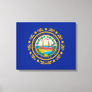 New Hampshire State Flag Design Canvas Print